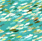 bg-fish